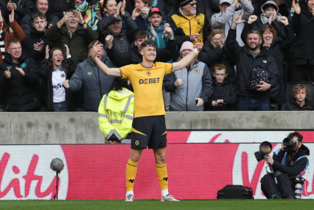 回看森林狼 回看森林狼