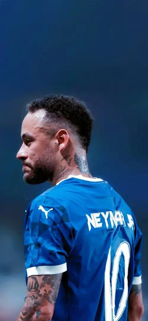 晏秋秋与范 晏秋秋与范